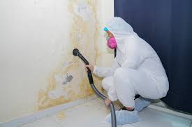 Mold Documentation for Insurance Claims in Shawneeland, VA